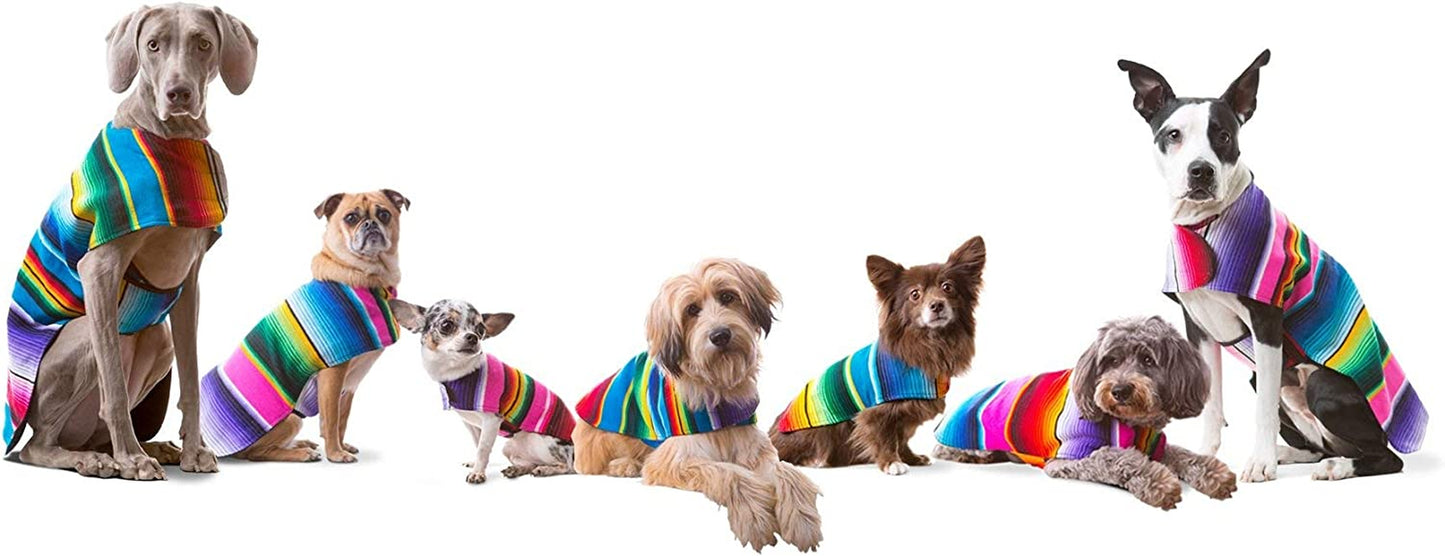 Dog Clothes - Handmade Dog Poncho from Authentic Mexican Blanket by (Blue, Small)