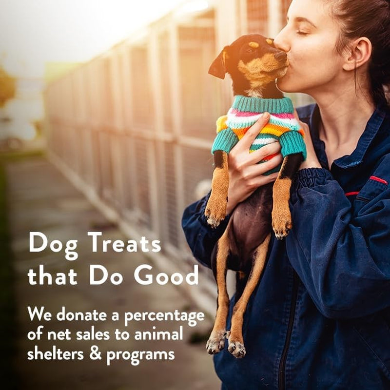Pumpkin Healthy Dog Treats - Grain-Free, Human-Grade, All Natural Dog Training T