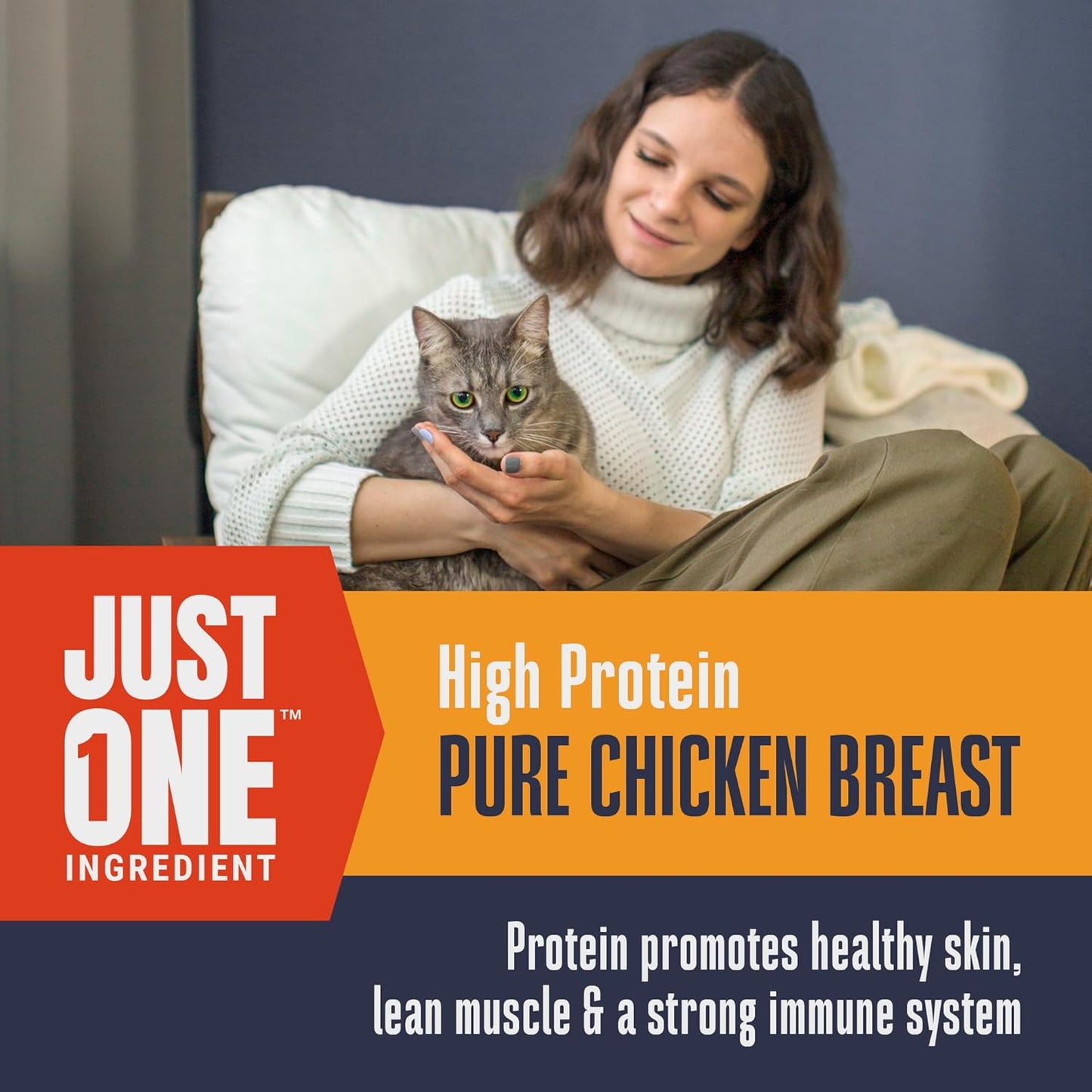 Whole Life Cat Just One Chicken Freeze Dried Cat Treats - Human Grade High Prote