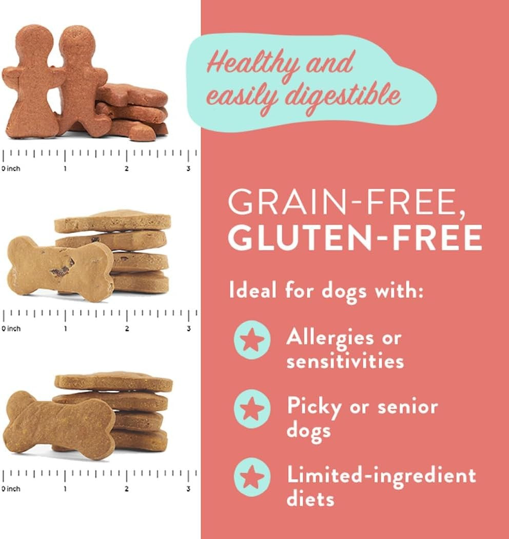 Pumpkin Healthy Dog Treats - Grain-Free, Human-Grade, All Natural Dog Training T