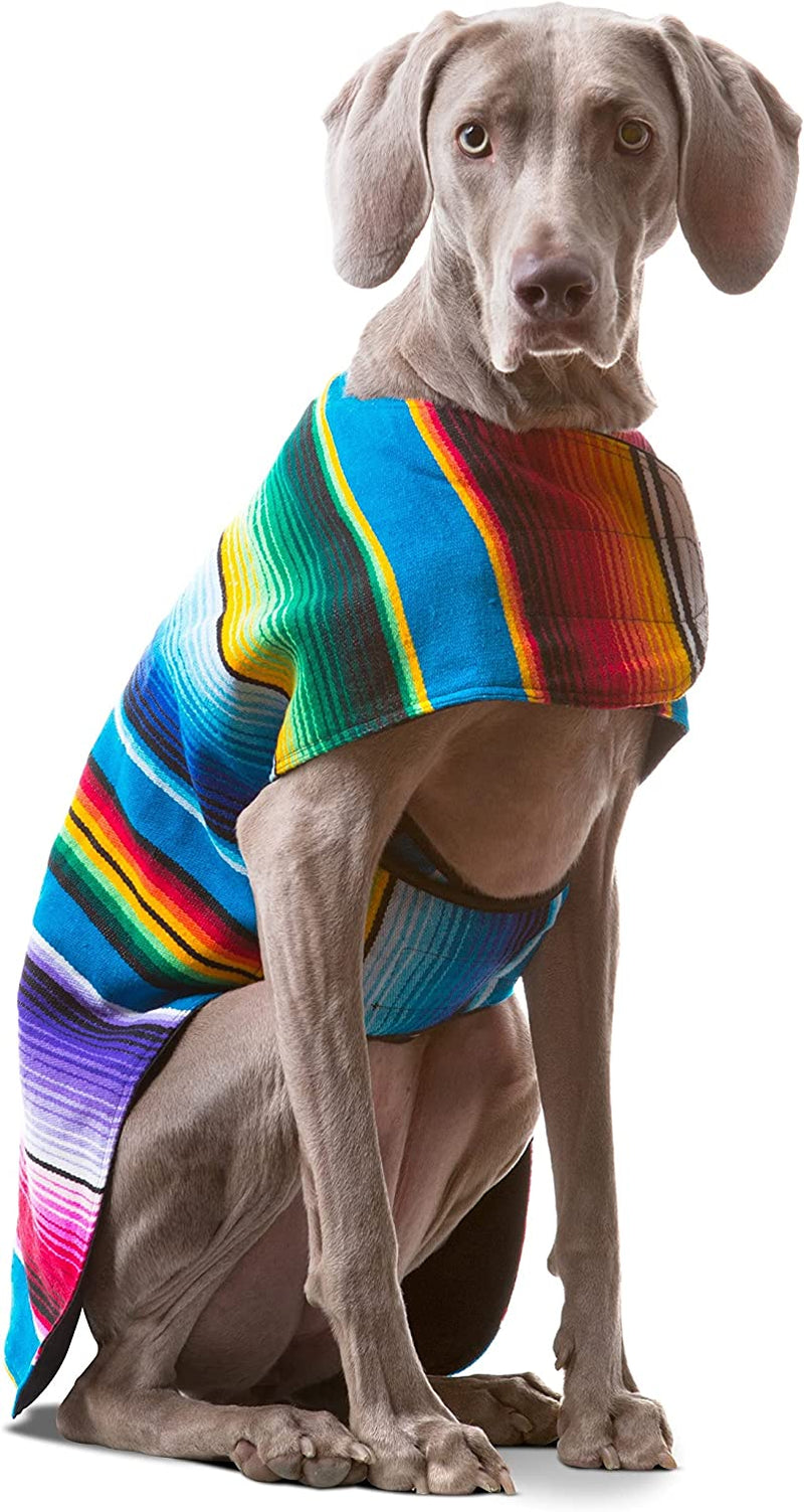 Dog Clothes - Handmade Dog Poncho from Authentic Mexican Blanket by (Blue, Small)