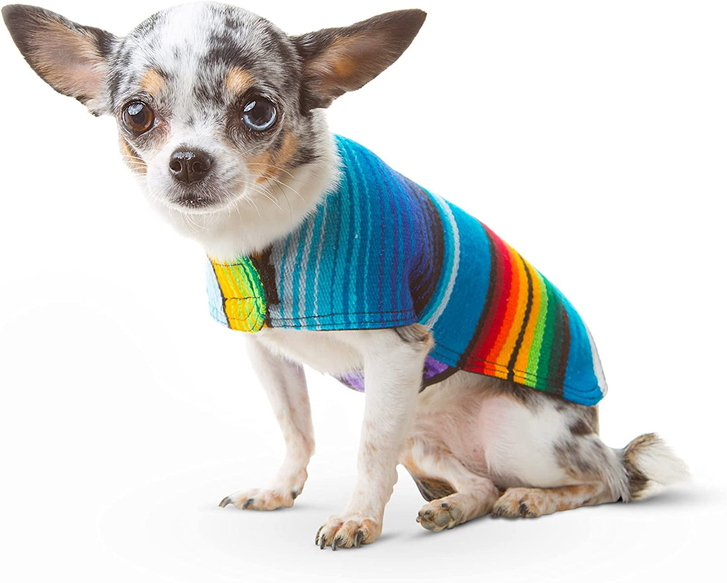 Dog Clothes - Handmade Dog Poncho from Authentic Mexican Blanket by (Blue, Small)