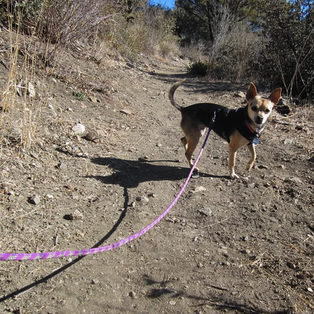 Heavy Duty Rope Dog Leash, 3/4/5/6/7/8/10/12/15 FT Nylon Pet Training Leash, Soft Padded Handle Thick Lead Leashes for Large Medium Dogs (6Ft*1/2", Purple)