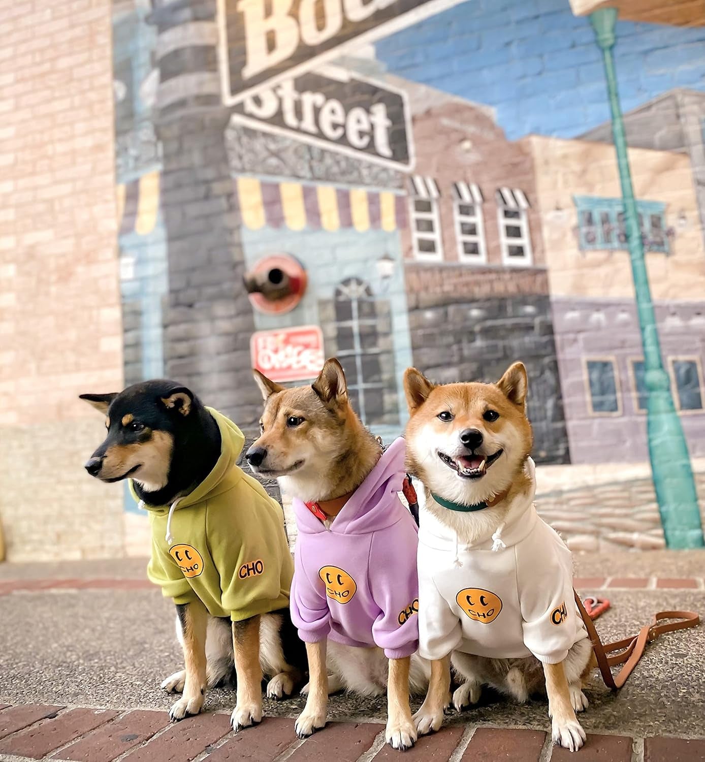 Smiley Dog Hoodie Stylish Dog Clothes Smiley Face Sweater Cotton Sweatshirt Fashion Outfit for Dogs Cats Puppy Small Medium Large (S, White)
