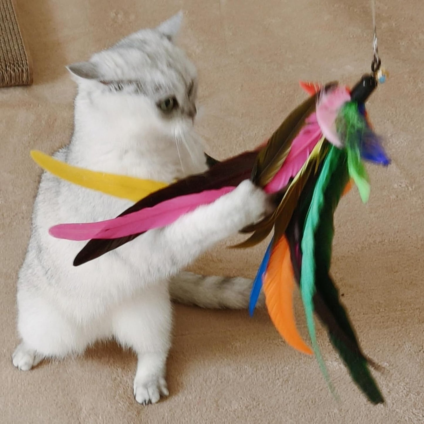 Cat Toys Interactive for Indoor Cats, 2PCS Ultra-Long Teaser(50"+38"