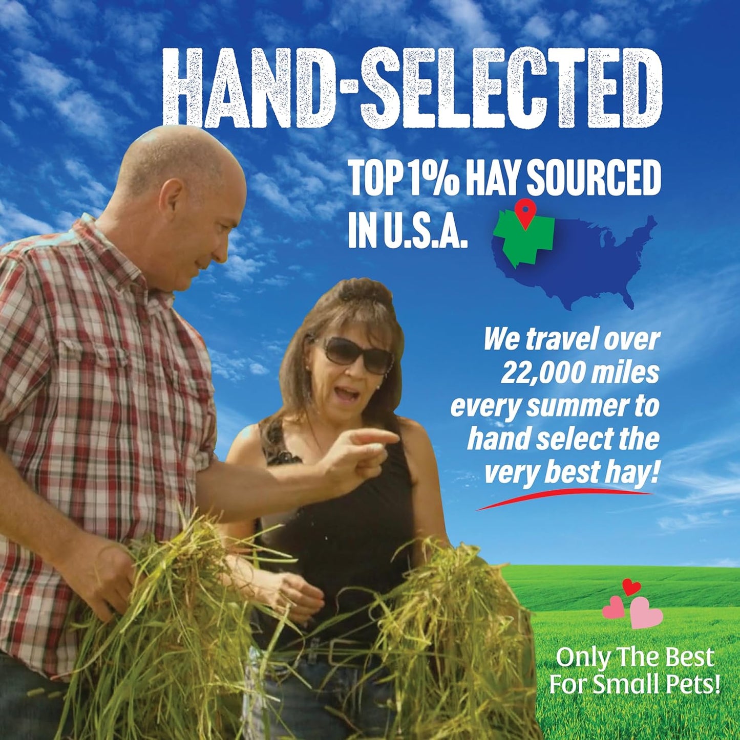 Oat Hay Pet Food, 2 Lb.