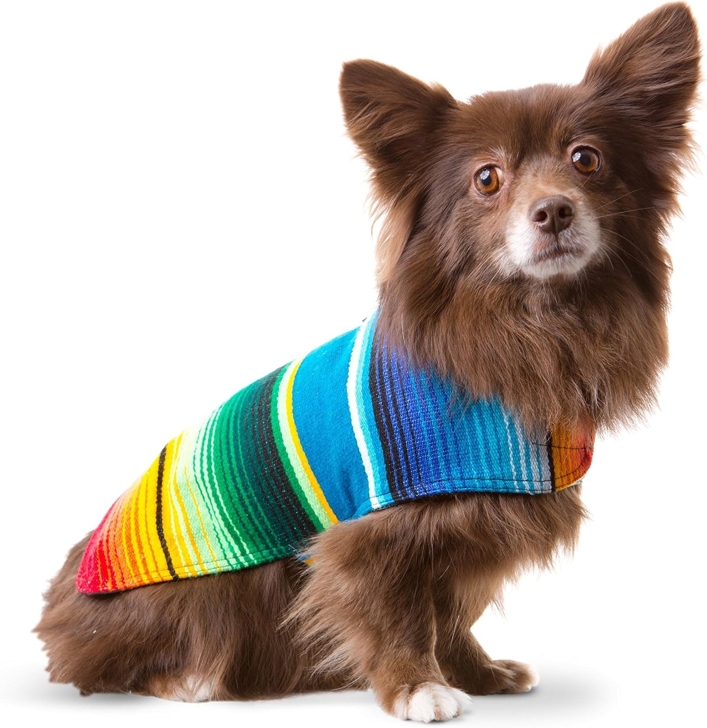Dog Clothes - Handmade Dog Poncho from Authentic Mexican Blanket by (Blue, Small)