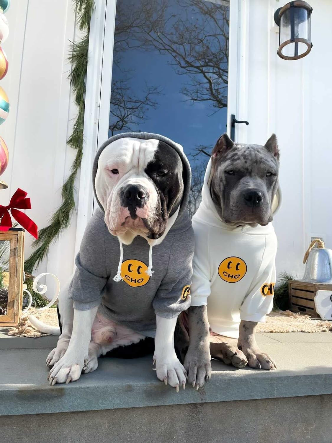 Smiley Dog Hoodie Stylish Dog Clothes Smiley Face Sweater Cotton Sweatshirt Fashion Outfit for Dogs Cats Puppy Small Medium Large (S, White)