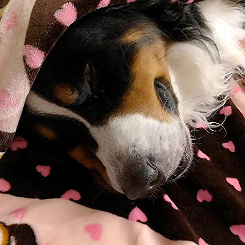 Blanket for Pets - Cozy Dog Blanket for Small Dogs - Machine Washable Dog Blanket