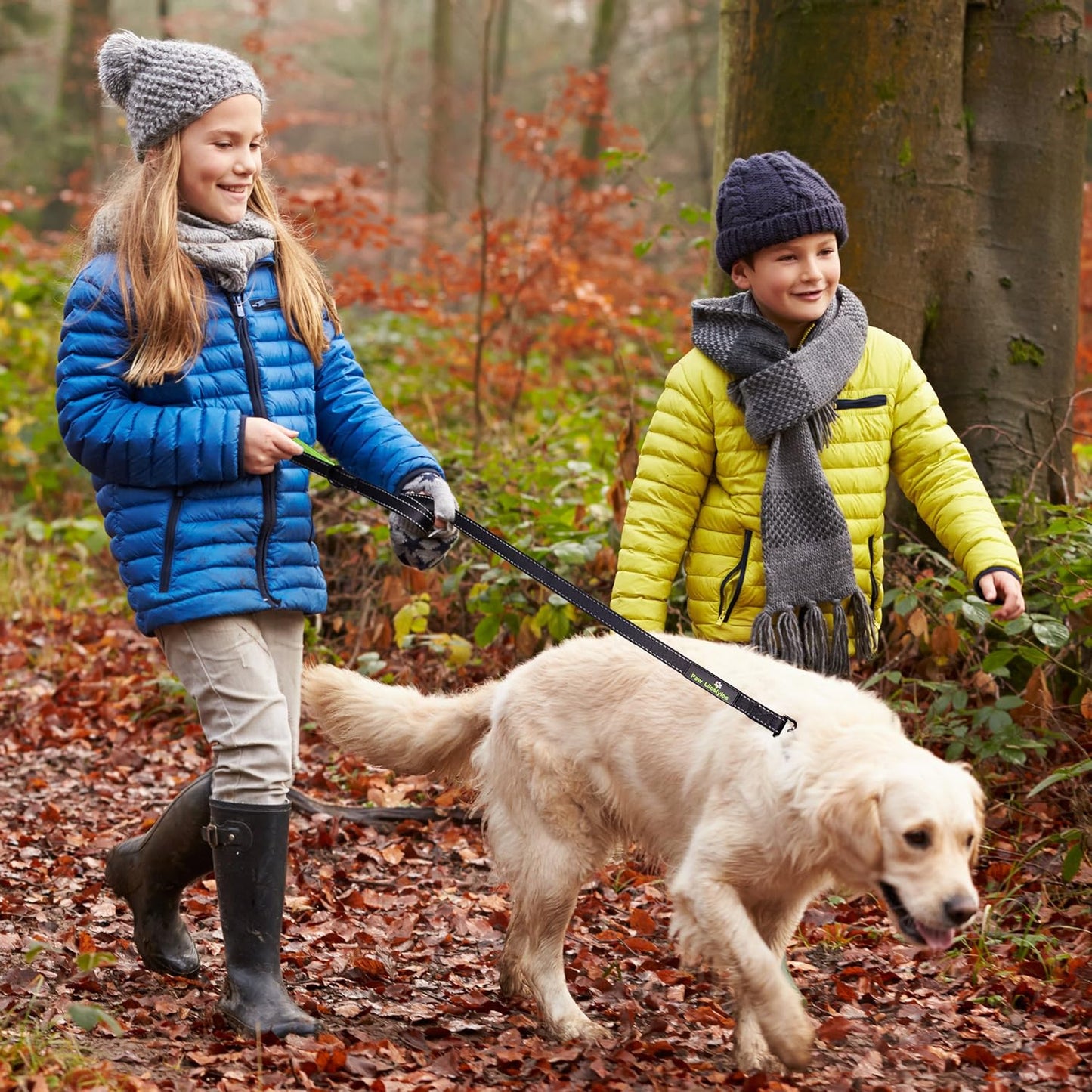 Extra Heavy Duty Dog Leash - 6Ft Long - 3Mm Thick, Soft Padded Handle for Comfort - Perfect Leashes for Medium and Large Dogs
