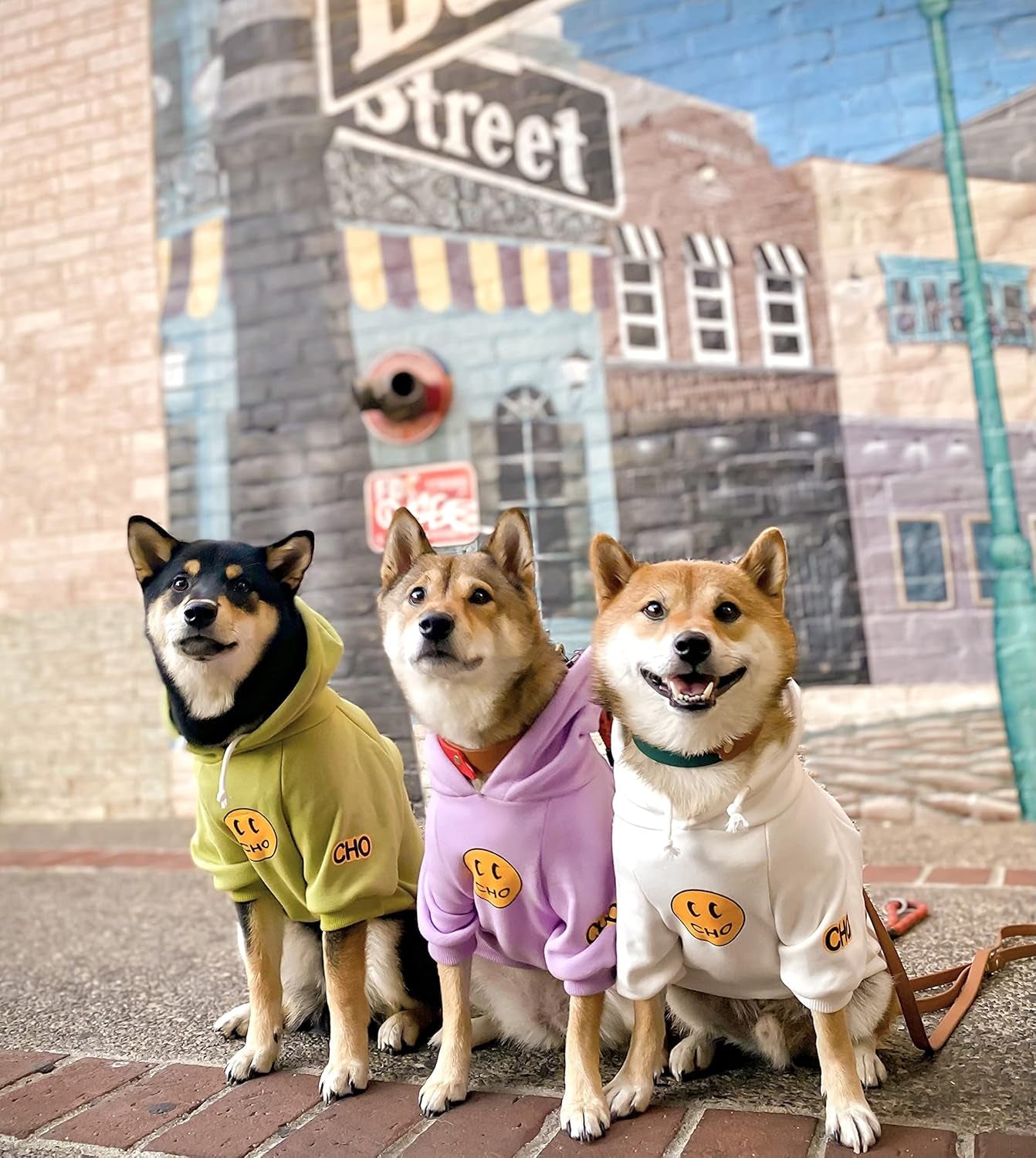 Smiley Dog Hoodie Stylish Dog Clothes Smiley Face Sweater Cotton Sweatshirt Fashion Outfit for Dogs Cats Puppy Small Medium Large (S, White)