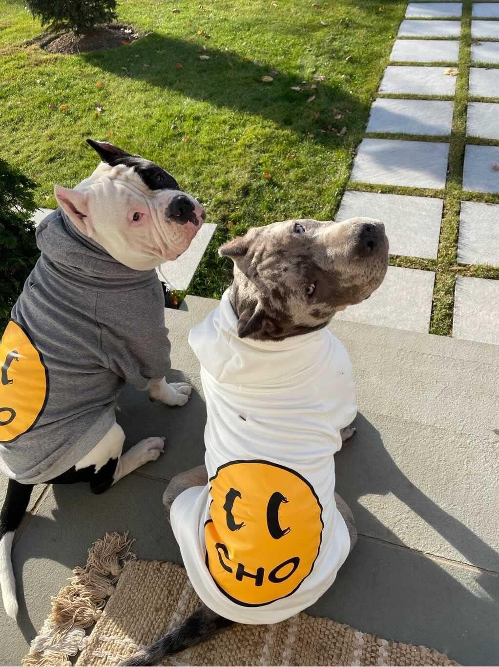Smiley Dog Hoodie Stylish Dog Clothes Smiley Face Sweater Cotton Sweatshirt Fashion Outfit for Dogs Cats Puppy Small Medium Large (S, White)