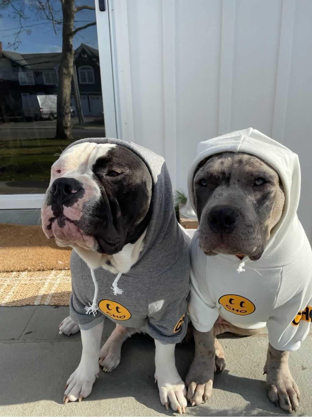Smiley Dog Hoodie Stylish Dog Clothes Smiley Face Sweater Cotton Sweatshirt Fashion Outfit for Dogs Cats Puppy Small Medium Large (S, White)