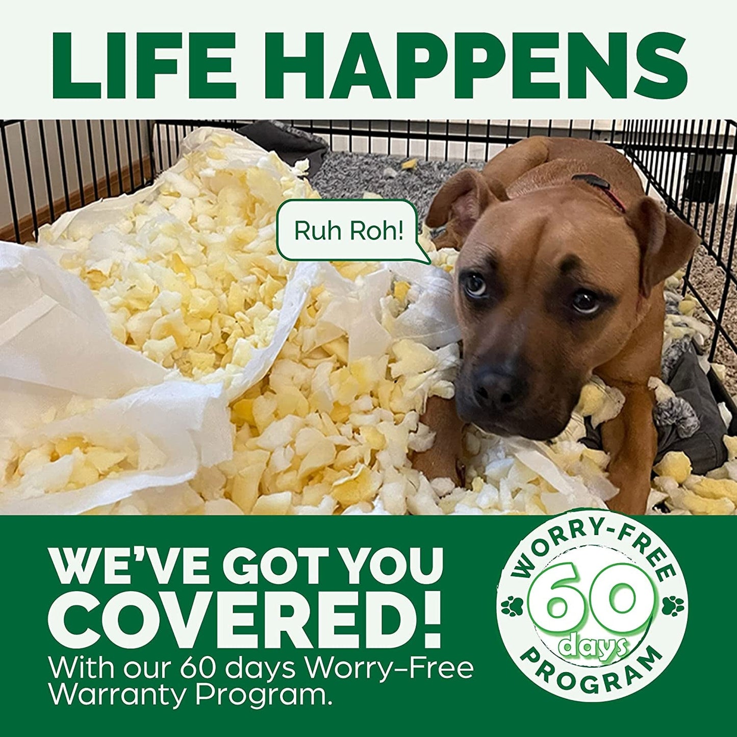 Orthopedic Dog Bed for Large Dogs W/ Removable Bolsters & Washable Cover, for Dogs up to 95 Lbs - Plush & Suede Sofa - Almondine, Jumbo/Xl - pet needs313105435456Orthopedic Dog Bed for Large Dogs W/ Removable Bolsters & Washable Cover, for Dogs up to 95 Lbs - Plush & Suede Sofa - Almondine, Jumbo/XlAlmondine40.0"L X 32.0"W X 8.0"Th40.0"L X 32.0"W X 8.0"Thpet needs