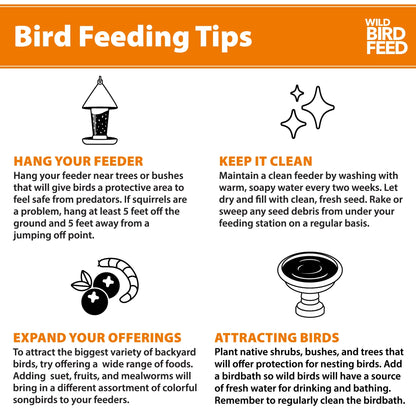 (3 Pack) Peanut & Sunflower Wild Bird Feed and Seed, Dry, 1 Count per Pack, 20 Lb. Bag