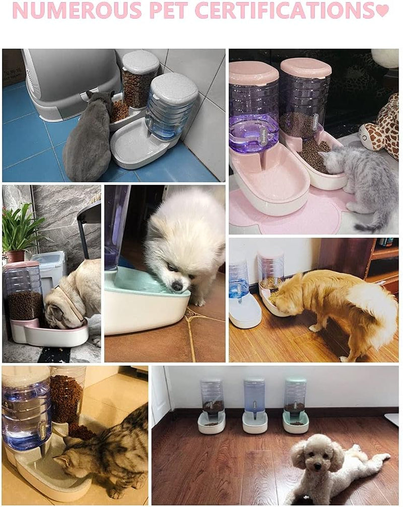 Cat/Dog High Capacity Feeder and Water Dispenser Set, Natural Gravity without Electricity, Water Storage Capacity 3.8L, Grain Storage Capacity 2.1Kg, Green