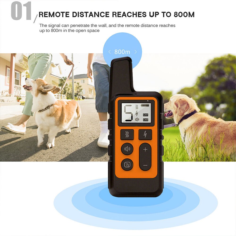 2700 FT Remote Dog Shock Training Collar Rechargeable Waterproof Pet Trainer - pet needs3130564614672700 FT Remote Dog Shock Training Collar Rechargeable Waterproof Pet TrainerRedpet needs