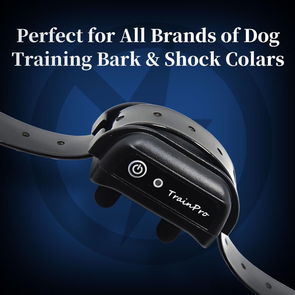 Replacement ¾” Dog Collar Strap Bands with Double Buckle Loop Training for All Brands of Pet Shock Bark E Collars and Fences.