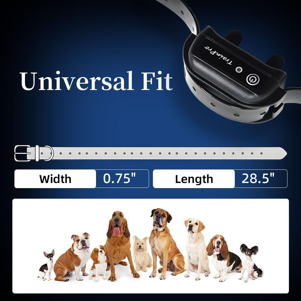 Replacement ¾” Dog Collar Strap Bands with Double Buckle Loop Training for All Brands of Pet Shock Bark E Collars and Fences.