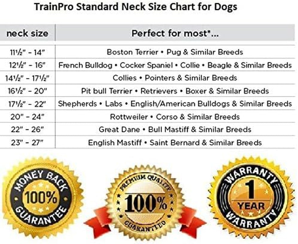 Replacement ¾” Dog Collar Strap Bands with Double Buckle Loop Training for All Brands of Pet Shock Bark E Collars and Fences.