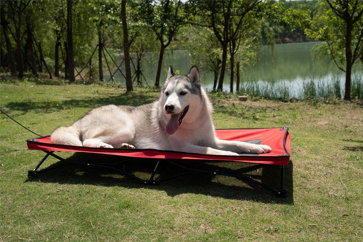 47 Inches Long Elevated Folding Pet Bed Cot Travel Portable Breathable Cooling Textilene Mesh Sleeping Dog Bed (47 Inch (Pack of 1), Red) - pet needs70535340476447 Inches Long Elevated Folding Pet Bed Cot Travel Portable Breathable Cooling Textilene Mesh Sleeping Dog Bed (47 Inch (Pack of 1), Red)pet needs