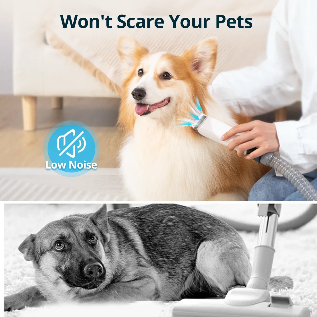 5 in 1 Pet Grooming Vacuum, 2.5L Dog Grooming Vacuum with 9 Attachment & Dog Clippers Tools for Dogs Cats - pet needs7260842421975 in 1 Pet Grooming Vacuum, 2.5L Dog Grooming Vacuum with 9 Attachment & Dog Clippers Tools for Dogs Cats10pet needs