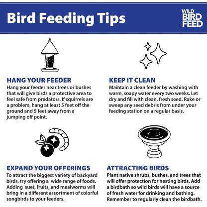 (5 Pack) Sunflower & Natural Grains Wild Bird Feed, 5 Lb - pet needs726084672901(5 Pack) Sunflower & Natural Grains Wild Bird Feed, 5 Lb5 Lbs5 Pack5 Packpet needs