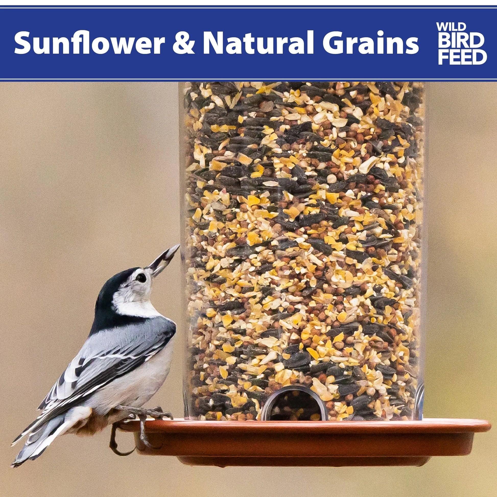 (5 Pack) Sunflower & Natural Grains Wild Bird Feed, 5 Lb - pet needs726084672901(5 Pack) Sunflower & Natural Grains Wild Bird Feed, 5 Lb5 Lbs5 Pack5 Packpet needs
