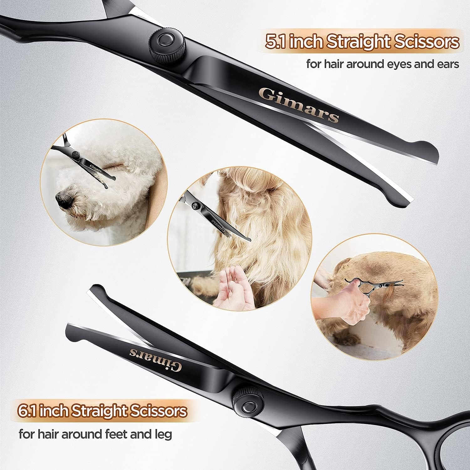 7Inch Professional 4CR Stainless Steel 6 in 1 Grooming Scissors for Dogs with Safety round Tip, Heavy Duty Titanium Coated Pet Grooming Scissor for Dogs, Cats and Other Animals - pet needs7111818808237Inch Professional 4CR Stainless Steel 6 in 1 Grooming Scissors for Dogs with Safety round Tip, Heavy Duty Titanium Coated Pet Grooming Scissor for Dogs, Cats and Other Animals7Inch Round Tip 6 In 1 Professionalpet needs