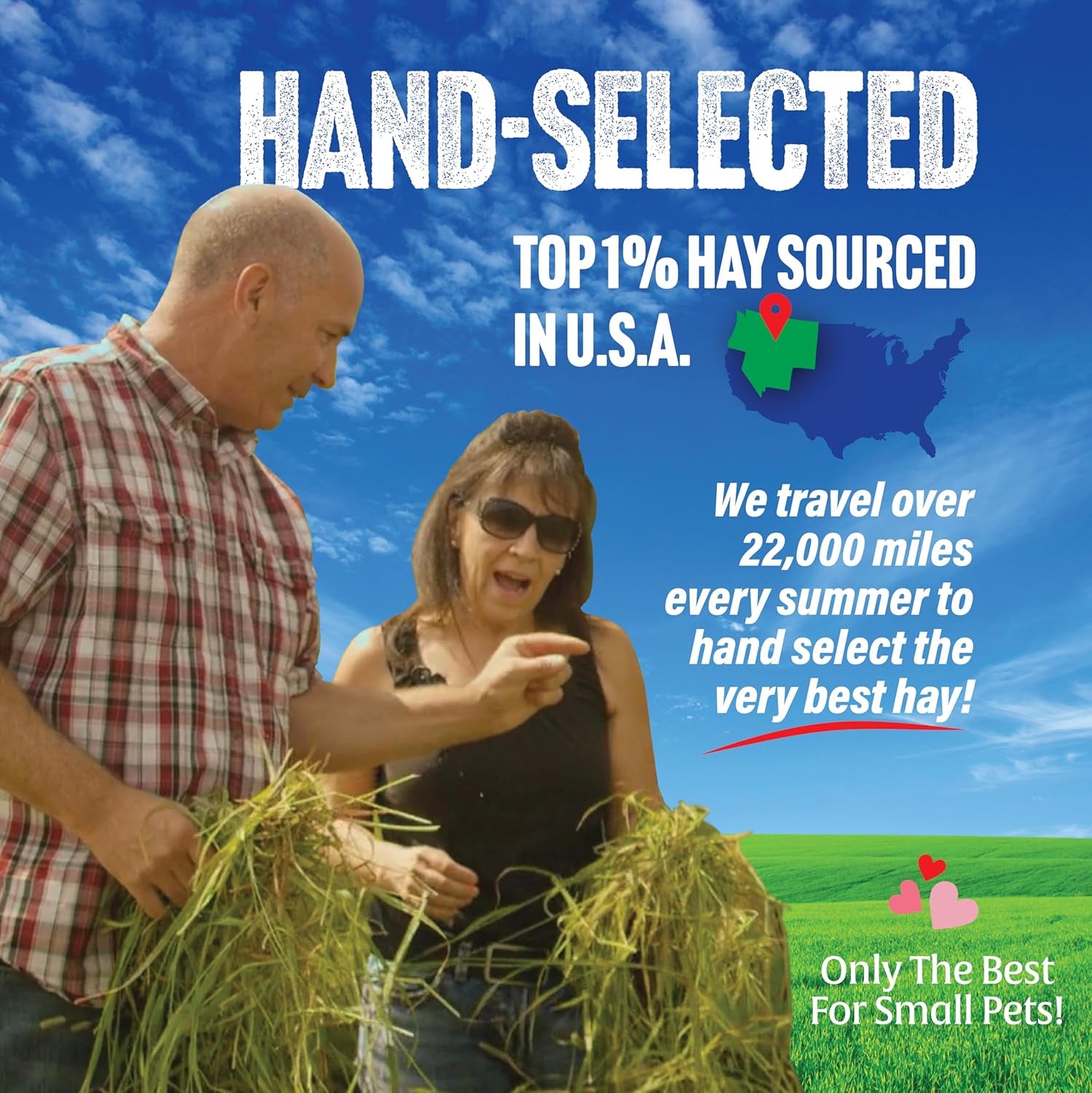 Oat Hay Pet Food, 2 Lb.