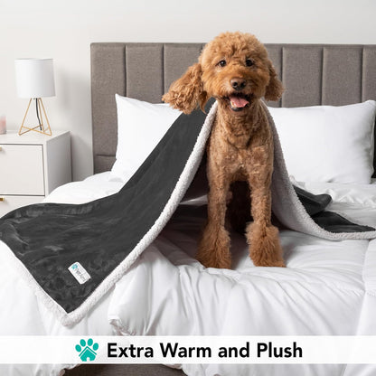 Dog Blanket for Bed, XL Pet Blanket Large Dogs, Fleece Furniture Couch Cover Protector Sofa Car Crate Kennel, Soft Sherpa Cat Throw Plush Reversible Washable, Twin 60X80 Dark Gray