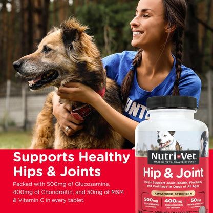 Advanced Strength Hip & Joint Chewable Dog Supplements - Formulated with Glucosamine & Chondroitin to Support Dog Cartilage & Mobility - 150 Tablets - pet needs7445017299246Advanced Strength Hip & Joint Chewable Dog Supplements - Formulated with Glucosamine & Chondroitin to Support Dog Cartilage & Mobility - 150 Tablets150 Ctpet needs