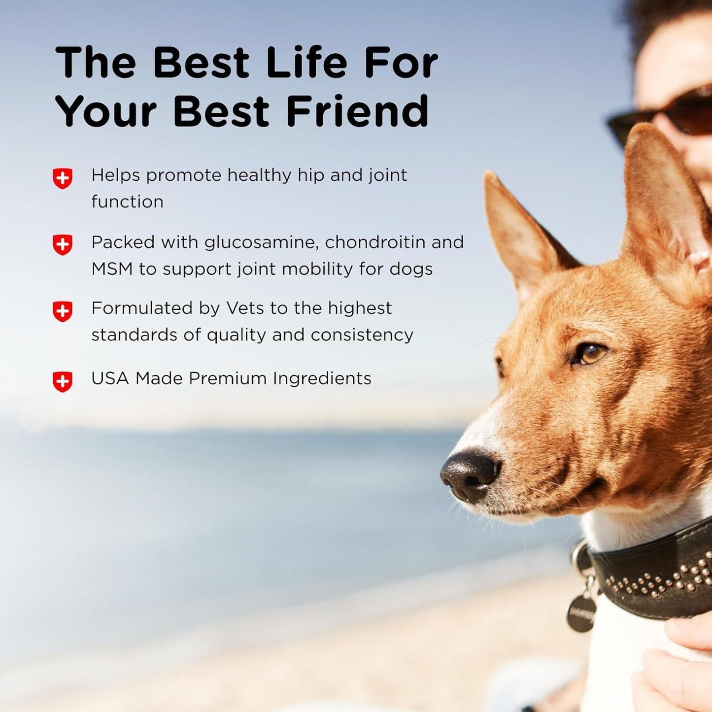 Advanced Strength Hip & Joint Chewable Dog Supplements - Formulated with Glucosamine & Chondroitin to Support Dog Cartilage & Mobility - 150 Tablets - pet needs7445017299246Advanced Strength Hip & Joint Chewable Dog Supplements - Formulated with Glucosamine & Chondroitin to Support Dog Cartilage & Mobility - 150 Tablets150 Ctpet needs