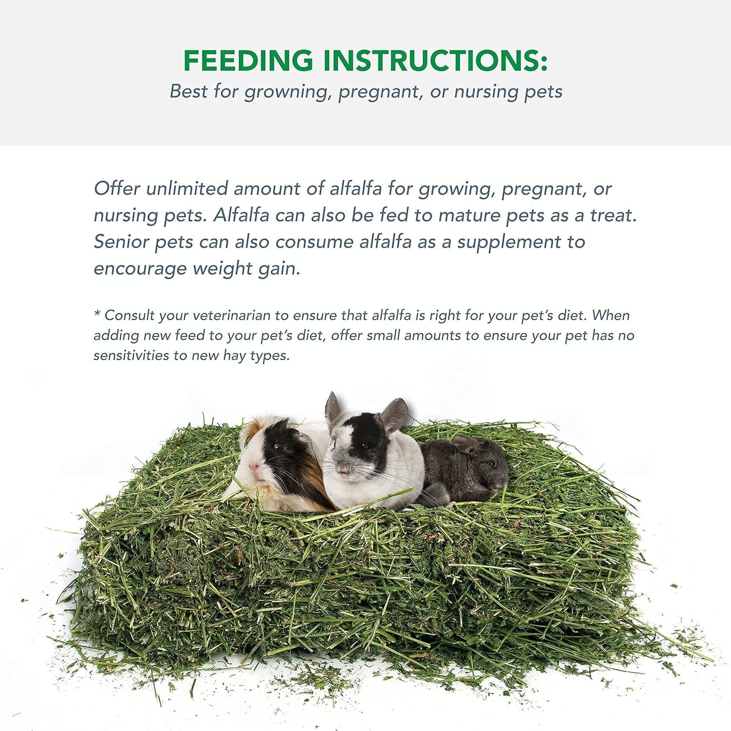 Alfalfa Hay for Rabbits & Small Pets, 10 Lbs - pet needs7445029634653Alfalfa Hay for Rabbits & Small Pets, 10 Lbs10 Pound (Pack Of 1)pet needs