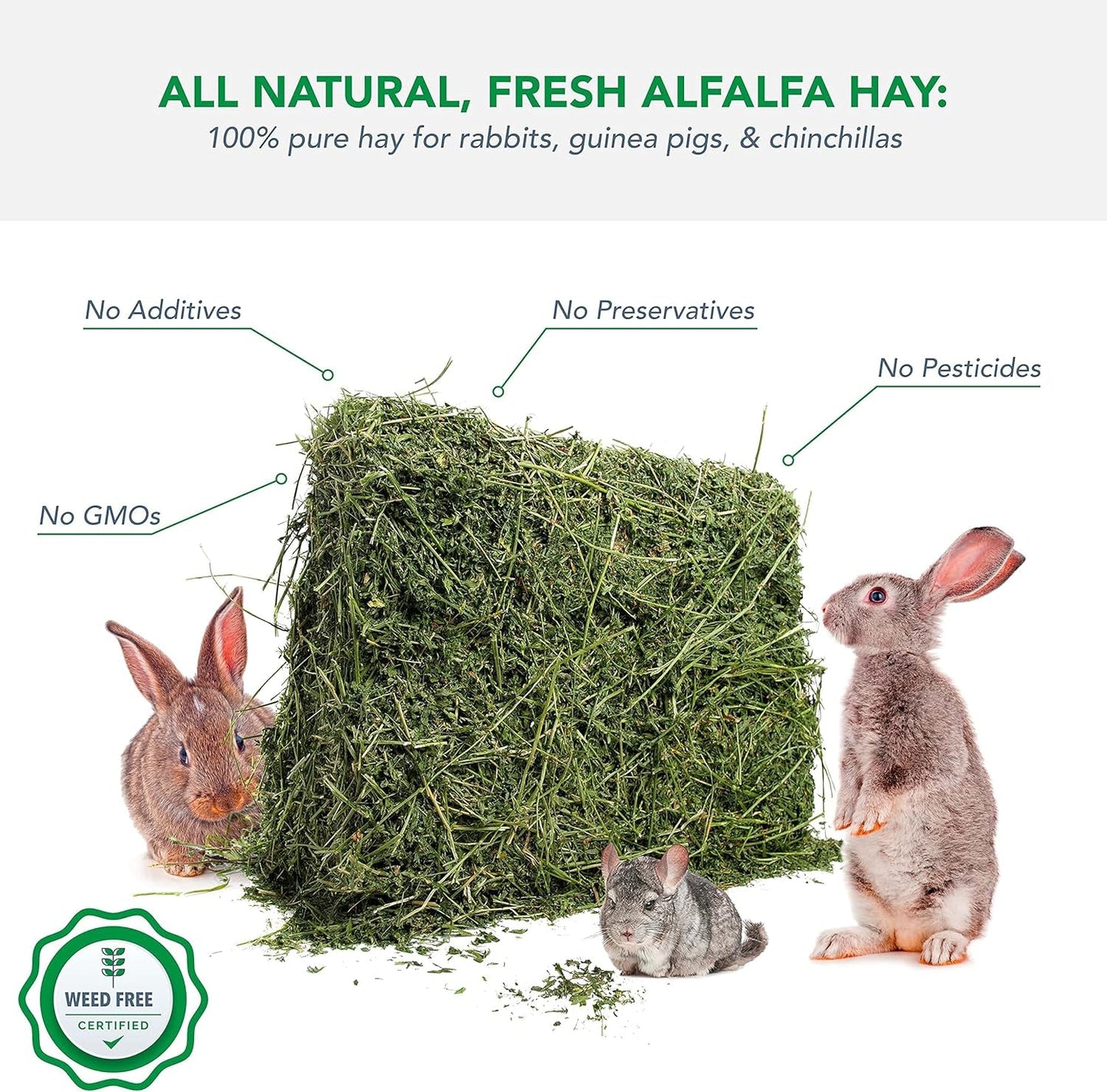 Alfalfa Hay for Rabbits & Small Pets, 5 Lbs - pet needs744110235326Alfalfa Hay for Rabbits & Small Pets, 5 Lbs5 Pound (Pack Of 1)pet needs
