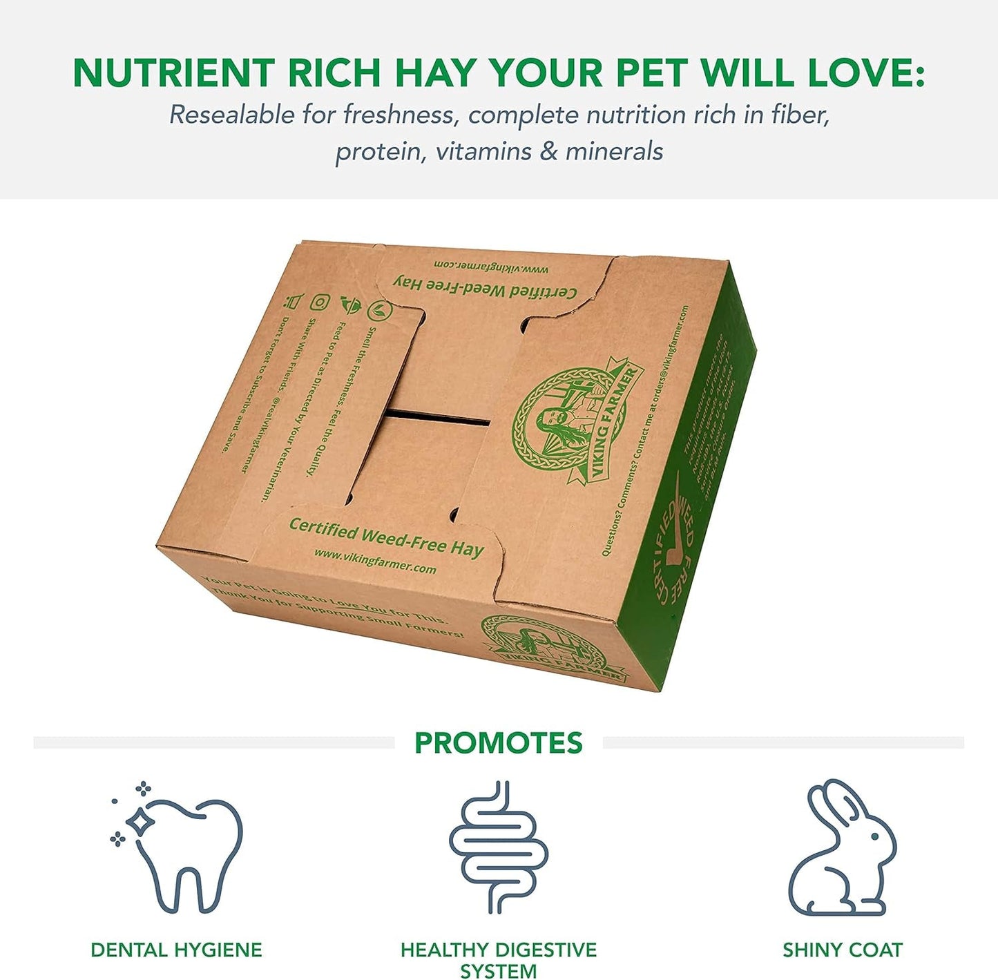 Alfalfa Hay for Rabbits & Small Pets, 5 Lbs - pet needs744110235326Alfalfa Hay for Rabbits & Small Pets, 5 Lbs5 Pound (Pack Of 1)pet needs