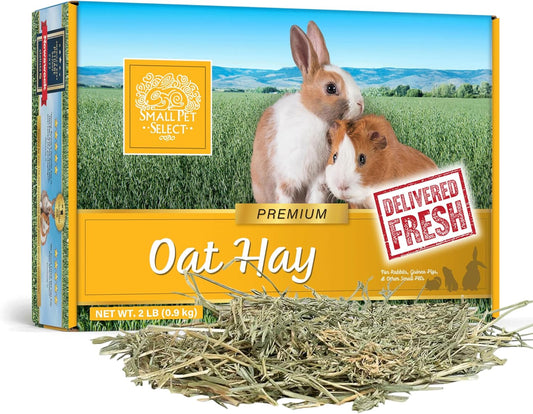 Oat Hay Pet Food, 2 Lb.
