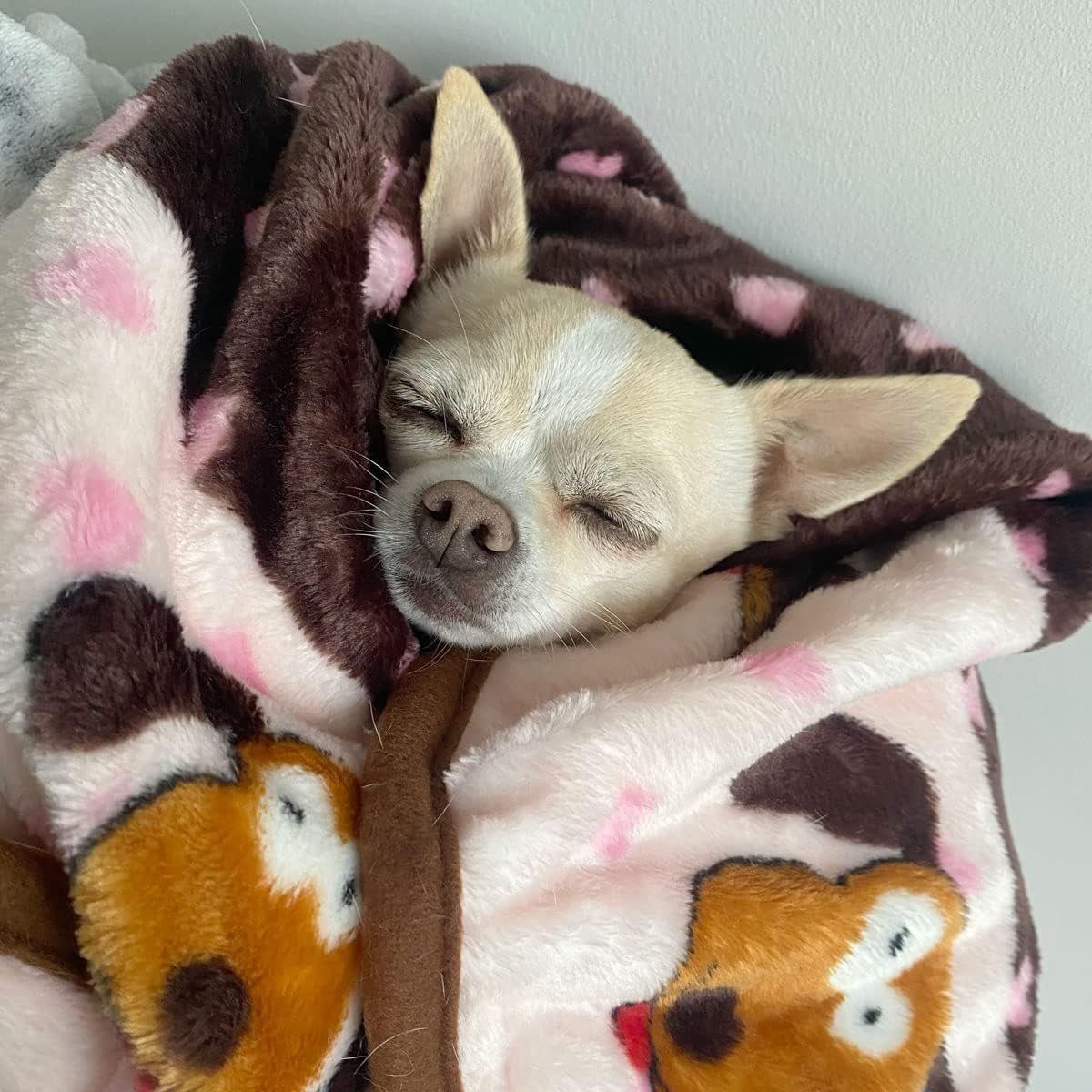 Blanket for Pets - Cozy Dog Blanket for Small Dogs - Machine Washable Dog Blanket - pet needs313048564503Blanket for Pets - Cozy Dog Blanket for Small Dogs - Machine Washable Dog BlanketPinkpet needs