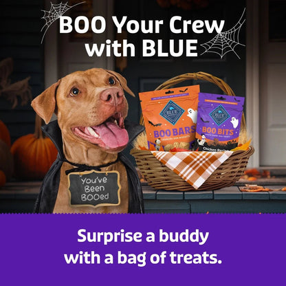 Boo Bits Soft & Chewy Halloween Dog Treats, Tasty Chicken Recipe, 4.5 - Oz Bag - pet needs711181193183Boo Bits Soft & Chewy Halloween Dog Treats, Tasty Chicken Recipe, 4.5 - Oz Bag1pet needs
