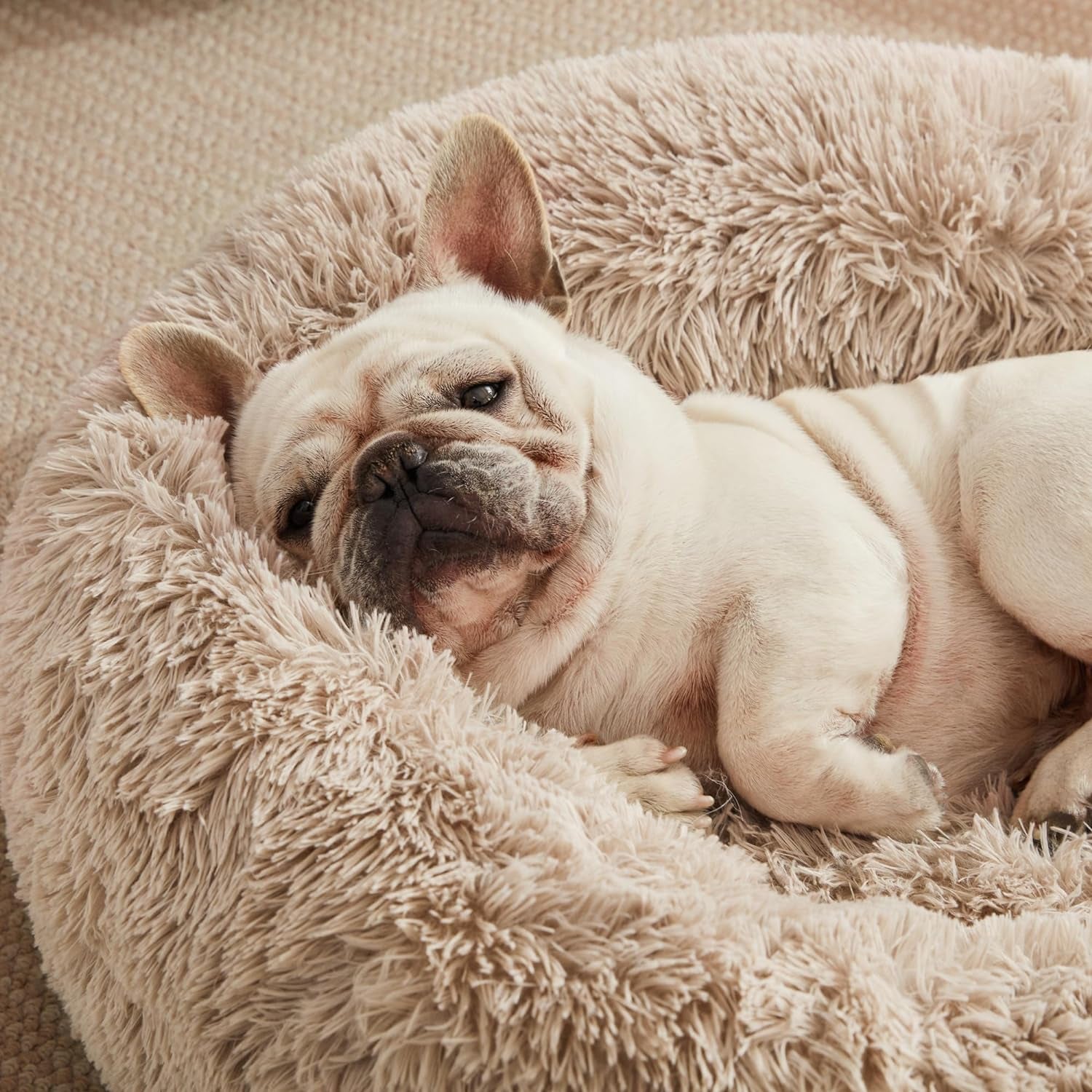 Calming Cat Bed for Indoor Cats,Anti - Anxiety Donut round Dog Bed,Fluffy Faux Fur Washable Pet Bed for Small Medium Dogs and Cats,Taupe,24In - pet needs705353613715Calming Cat Bed for Indoor Cats,Anti - Anxiety Donut round Dog Bed,Fluffy Faux Fur Washable Pet Bed for Small Medium Dogs and Cats,Taupe,24InBeige Taupe24"24"pet needs
