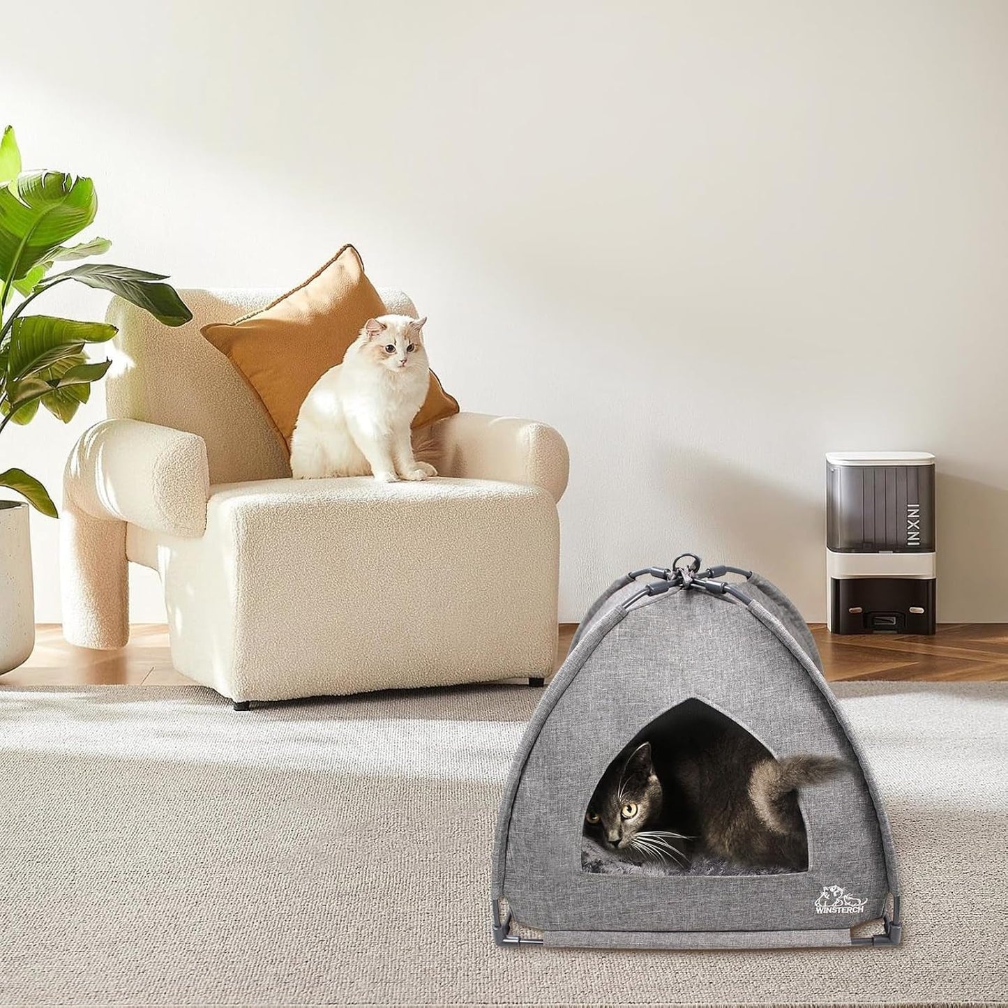 Cat Beds for Indoor Cats,Covered Cat Cave Bed with Removable Washable Pillow,Warming Cat Cave Bed Kitten Beds Small Pets Bed for Indoor Cats (18.5'' X 18.5'' X 15.8'', Grey) - pet needs726084858725Cat Beds for Indoor Cats,Covered Cat Cave Bed with Removable Washable Pillow,Warming Cat Cave Bed Kitten Beds Small Pets Bed for Indoor Cats (18.5'' X 18.5'' X 15.8'', Grey)Greypet needs