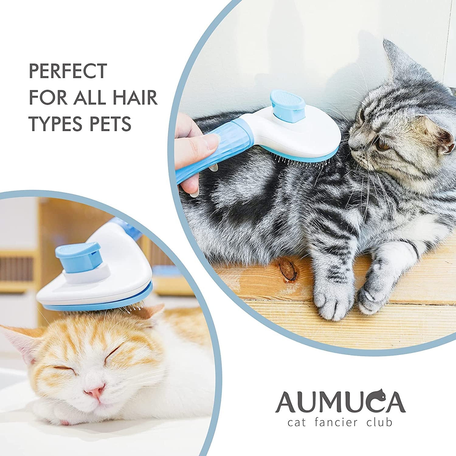 Cat Brush and Dog Brush, Cat Brush for Shedding and Grooming with Long or Short Hair Self Cleaning Slicker Brush - pet needs7445000704740Cat Brush and Dog Brush, Cat Brush for Shedding and Grooming with Long or Short Hair Self Cleaning Slicker Brushpet needs
