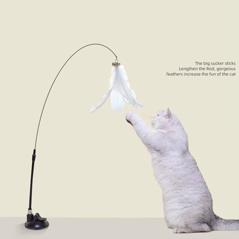 Cat Toy Feather Stick Interactive Toy Super Suction Kitten Toy Cup Removable 2 Feather Replacement Cat Accessories - pet needs744759130402Cat Toy Feather Stick Interactive Toy Super Suction Kitten Toy Cup Removable 2 Feather Replacement Cat AccessoriesNo Suction Cup2Pcs Random Feathers2Pcs Random Featherspet needs