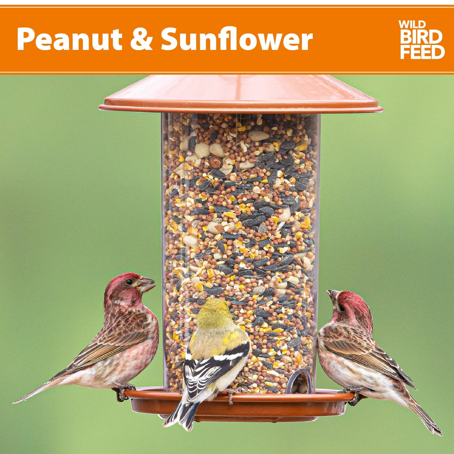 (3 Pack) Peanut & Sunflower Wild Bird Feed and Seed, Dry, 1 Count per Pack, 20 Lb. Bag