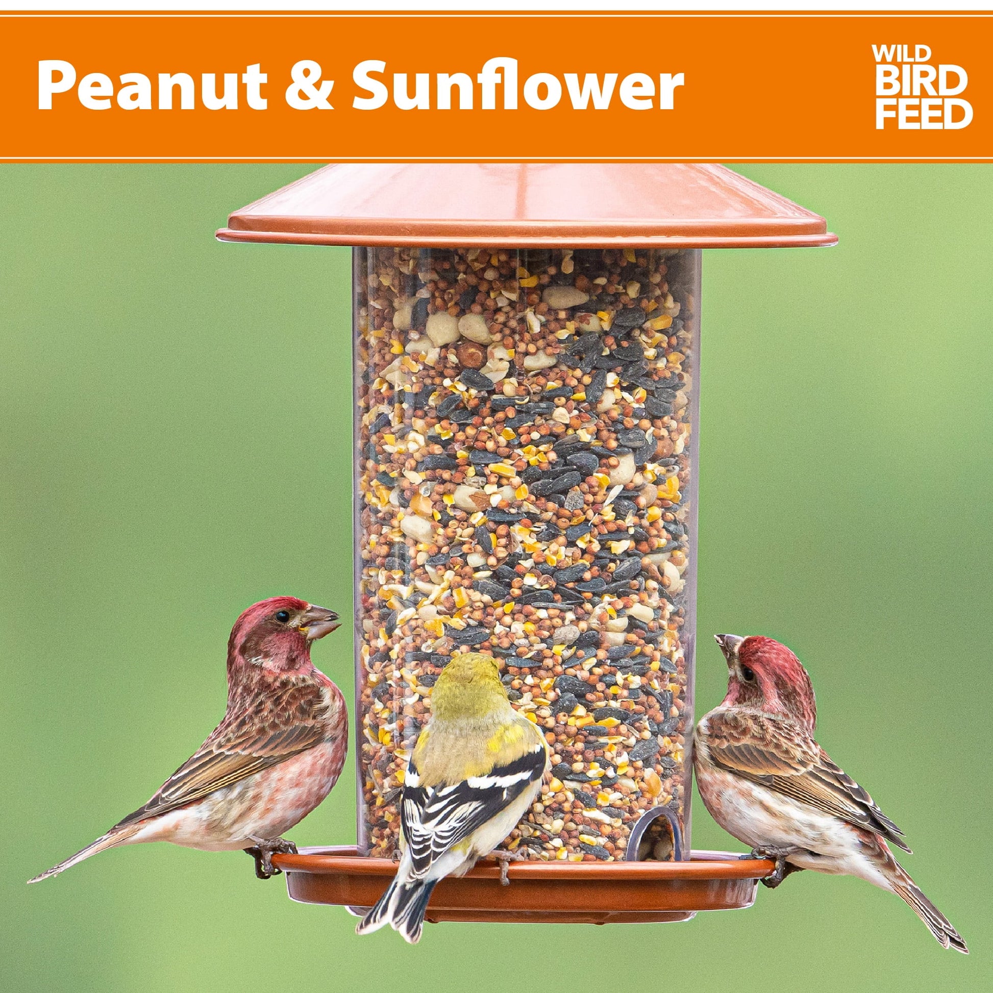 (3 Pack) Peanut & Sunflower Wild Bird Feed and Seed, Dry, 1 Count per Pack, 20 Lb. Bag