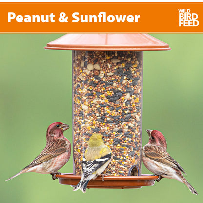 (3 Pack) Peanut & Sunflower Wild Bird Feed and Seed, Dry, 1 Count per Pack, 20 Lb. Bag