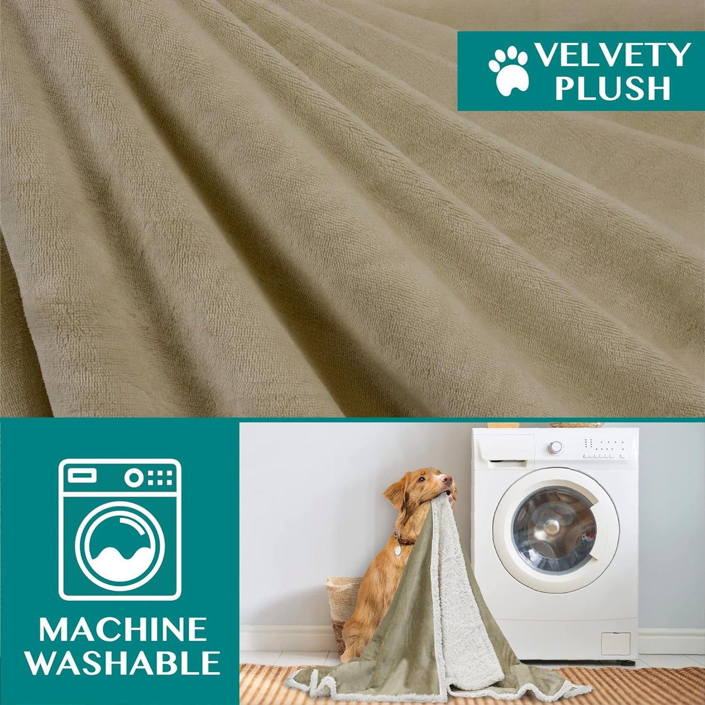 Dog Blanket for Bed, XL Pet Blanket Large Dogs, Fleece Furniture Couch Cover Protector Sofa Car Crate Kennel, Soft Sherpa Cat Throw Plush Reversible Washable, Twin 60X80 Taupe - pet needs7445024355362Dog Blanket for Bed, XL Pet Blanket Large Dogs, Fleece Furniture Couch Cover Protector Sofa Car Crate Kennel, Soft Sherpa Cat Throw Plush Reversible Washable, Twin 60X80 TaupeTaupeX - Large - 80 X 60 InchesX - Large - 80 X 60 Inchespet needs
