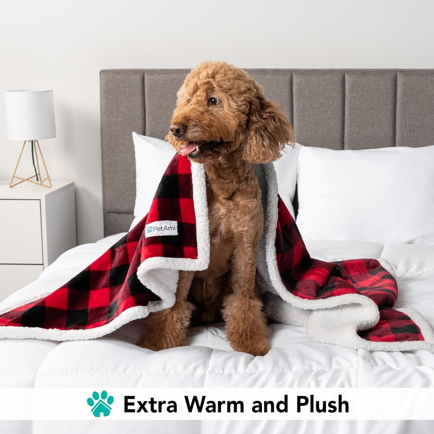 Dog Blanket for Medium Large Dogs, Pet Bed Blanket Cat Puppy Kitten, Fleece Furniture Couch Cover Protector Sofa Car, Soft Sherpa Dog Throw Plush Reversible Washable, 40X60 Checker Red - pet needs7445043179123Dog Blanket for Medium Large Dogs, Pet Bed Blanket Cat Puppy Kitten, Fleece Furniture Couch Cover Protector Sofa Car, Soft Sherpa Dog Throw Plush Reversible Washable, 40X60 Checker RedCheckered RedLarge - 60 X 40 InchesLarge - 60 X 40 Inchespet needs