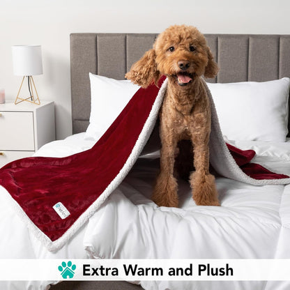Dog Blanket for Small Medium Dogs, Pet Bed Blanket Cat Puppy Kitten, Fleece Furniture Couch Cover Protector Sofa Car, Soft Sherpa Dog Throw Plush Reversible Washable, Mini 29X40 Maroon Red - pet needs711181169881Dog Blanket for Small Medium Dogs, Pet Bed Blanket Cat Puppy Kitten, Fleece Furniture Couch Cover Protector Sofa Car, Soft Sherpa Dog Throw Plush Reversible Washable, Mini 29X40 Maroon RedWineMedium - 29 X 40 InchesMedium - 29 X 40 Inchespet needs