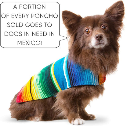 Dog Clothes - Handmade Dog Poncho from Authentic Mexican Blanket by (Blue, Small) - pet needs313096361307Dog Clothes - Handmade Dog Poncho from Authentic Mexican Blanket by (Blue, Small)BlueSmallSmallpet needs